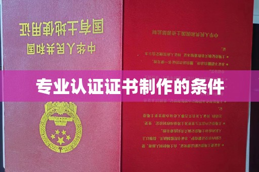 于洪专业认证证书制作的条件